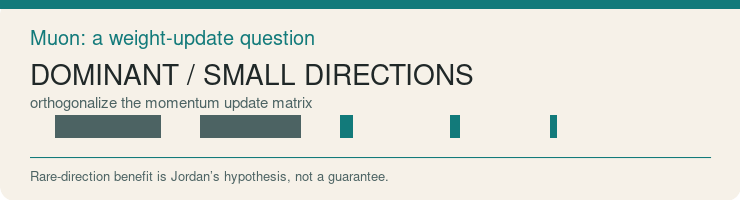 Muon: dominant and smaller directions in an optimizer update. Rare direction benefit is a hypothesis, not a guarantee.